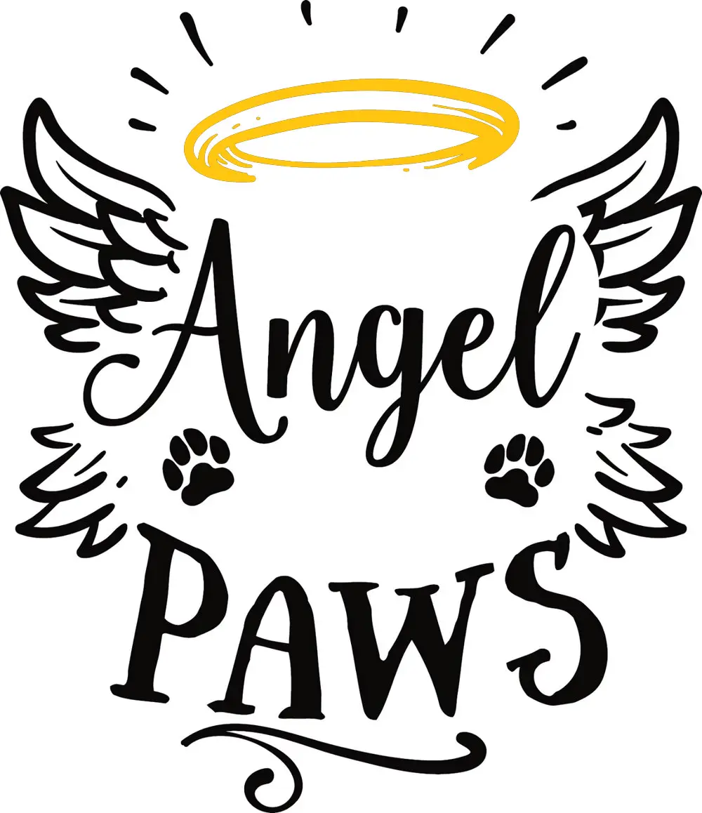Angel Paws In-Home Grooming