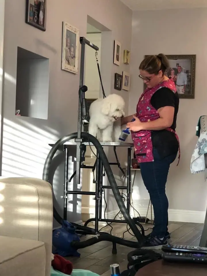 Groomer Jill, owner of Angel Paws In-Home Grooming