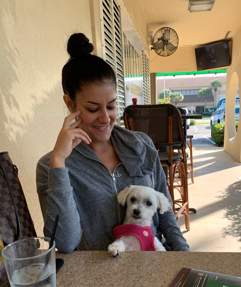 Beloved dog groomed by Angel Paws