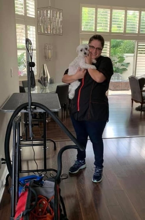 Beloved dog groomed by Angel Paws